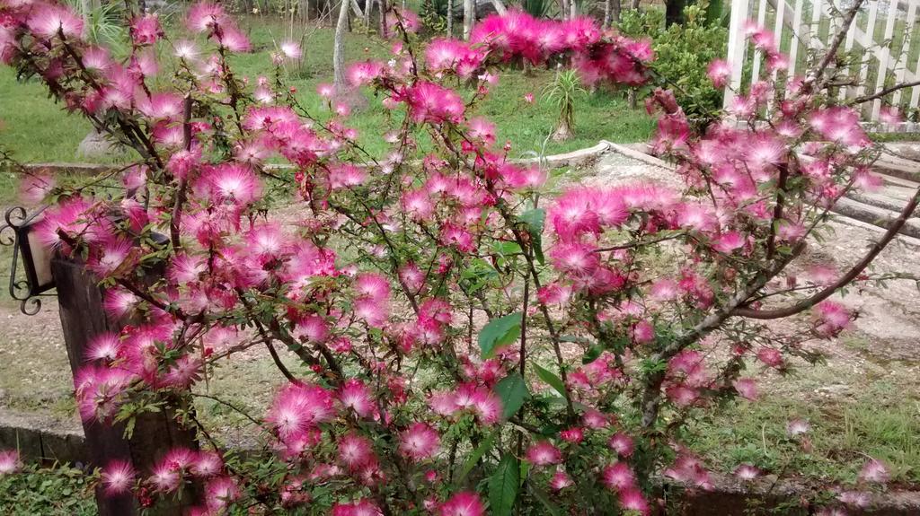Pousada Vila Do Campo Lavras Novas Luaran gambar